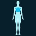Mammogram Scan