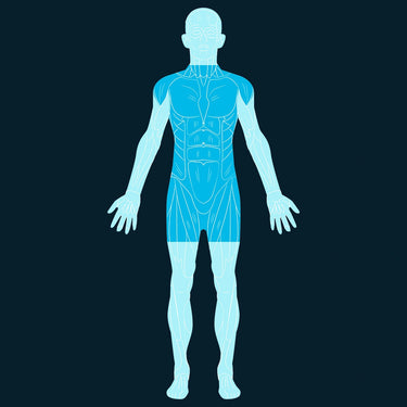 Torso Scan