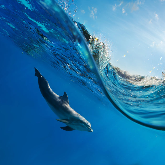 We're Riding the Wave of Prevention