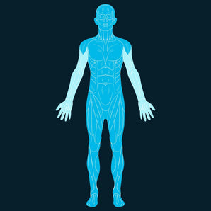 Whole Body Scan