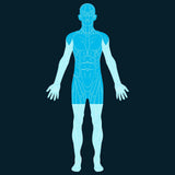 Head and Torso Scan