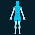 Head & Torso Scan