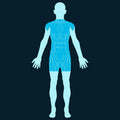 Torso Scan