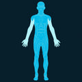 Whole Body Scan